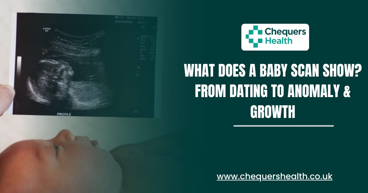 What-Does-a-Baby-Scan-Show-From-Dating-to-Anomaly-Growth.
